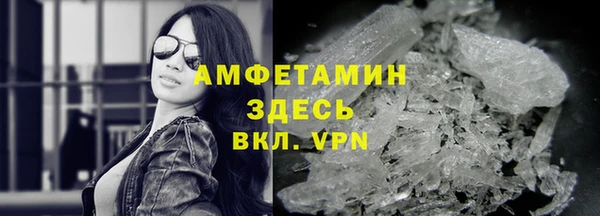 крисы Баксан