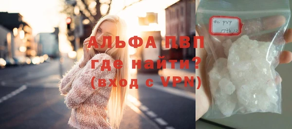 крисы Баксан
