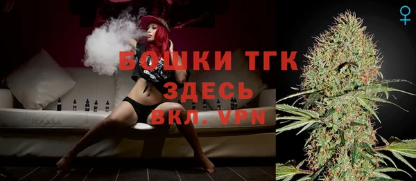 сатива Арсеньев